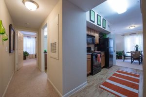 Two bedroom apartments for rent in Houston