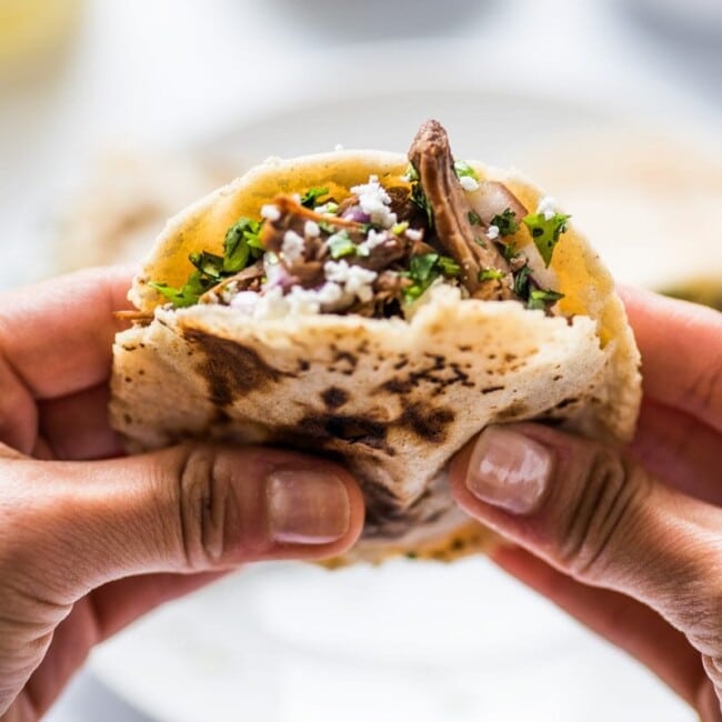 Apartments in Northwest Houston North A person holding a Mexican burrito on a plate in Northwest Houston North.