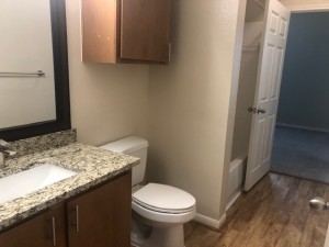 Two Bedroom Apartments in Houston, TX - Apartment Bathroom                        
