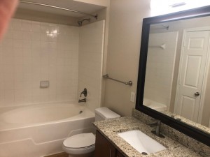 Two Bedroom Apartments in Houston, TX - Apartment Bathroom with Soaking Tub                   
