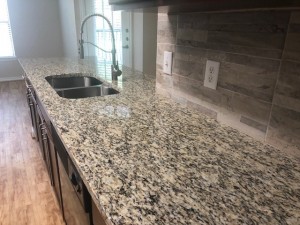 Two Bedroom Apartments in Houston, TX - Apartment Kitchen Countertop with Double Sinks                                 
