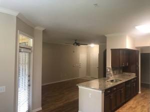 Two Bedroom Apartments in Houston, TX - Apartment Living Room and Kitchen                                          