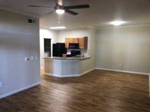 Two Bedroom Apartments in Houston, TX - Apartment Living and Dining Areas with view to Kitchen                                            