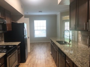 Two Bedroom Apartments in Houston, TX - Apartment Open-Ended Kitchen                                    