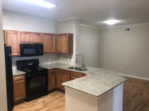 Two Bedroom Apartments in Houston, TX - Apartment Open Kitchen Layout                                          