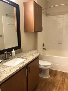Two Bedroom Apartment Rentals in Northwest Houston, Texas - Apartment Bathroom                                      
