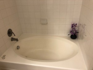 Two Bedroom Apartment Rentals in Northwest Houston, Texas - Apartment Bathroom Garden Tub                                   