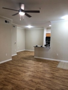 Two Bedroom Apartment Rentals in Northwest Houston, Texas - Apartment Entry,  Living and Dining Areas                                                                