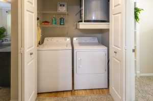 Two Bedroom Apartments for Rent in Northwest Houston, Texas - Model Laundry Room (2)                                                