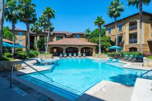 Apartments for Rent in Northwest Houston, TX - Pool and Patio